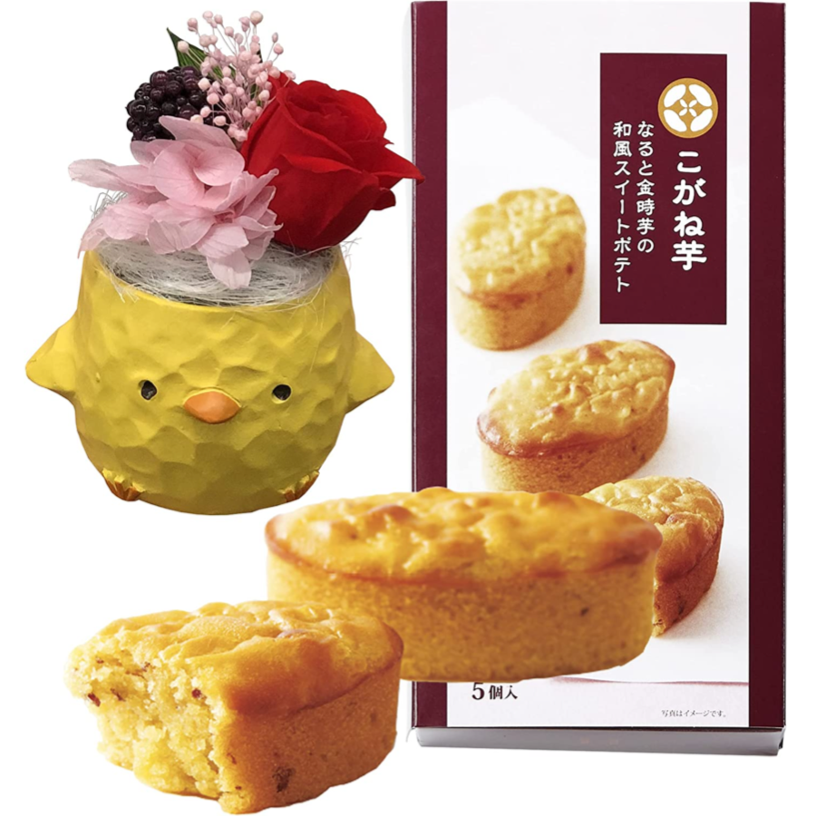 �ץꥶ���֥ɥե� ������ �� �ץ쥼��� ���� ���ۻ� ���� ���ե� ������