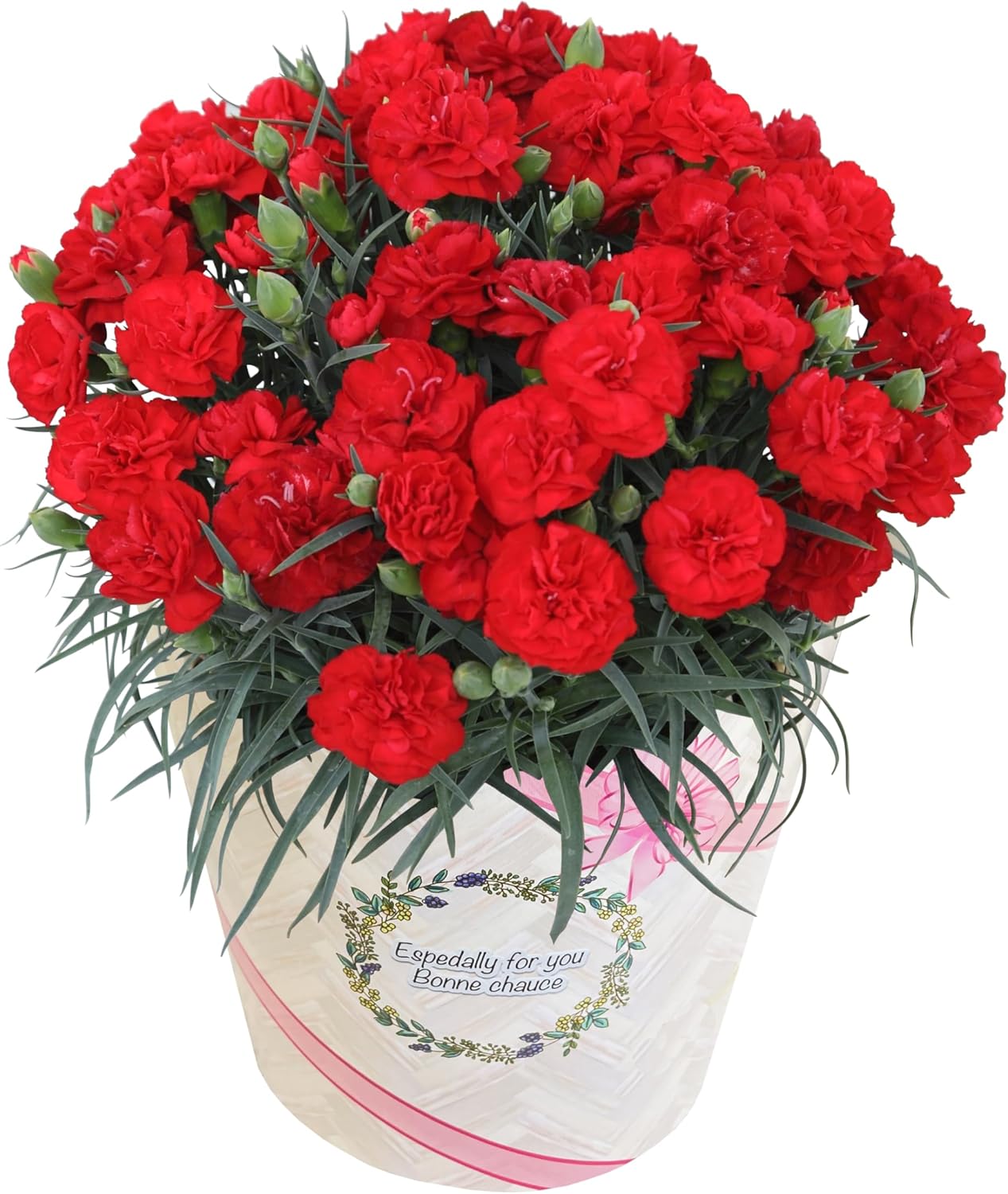 ����� �� ȭ���� �����͡������ �ץ쥼��� ��ȭ ��������ե� ������Υץ쥼���