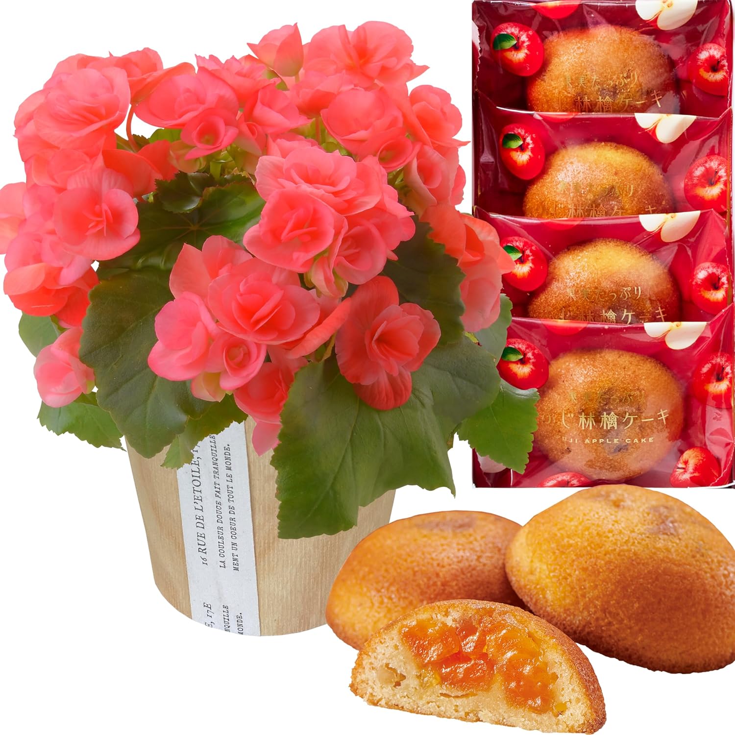 �꡼������ �� ���ե� ������ �ץ쥼��� ȭ���� ȭ�� ���ۻ� �꡼�������٥��˥�