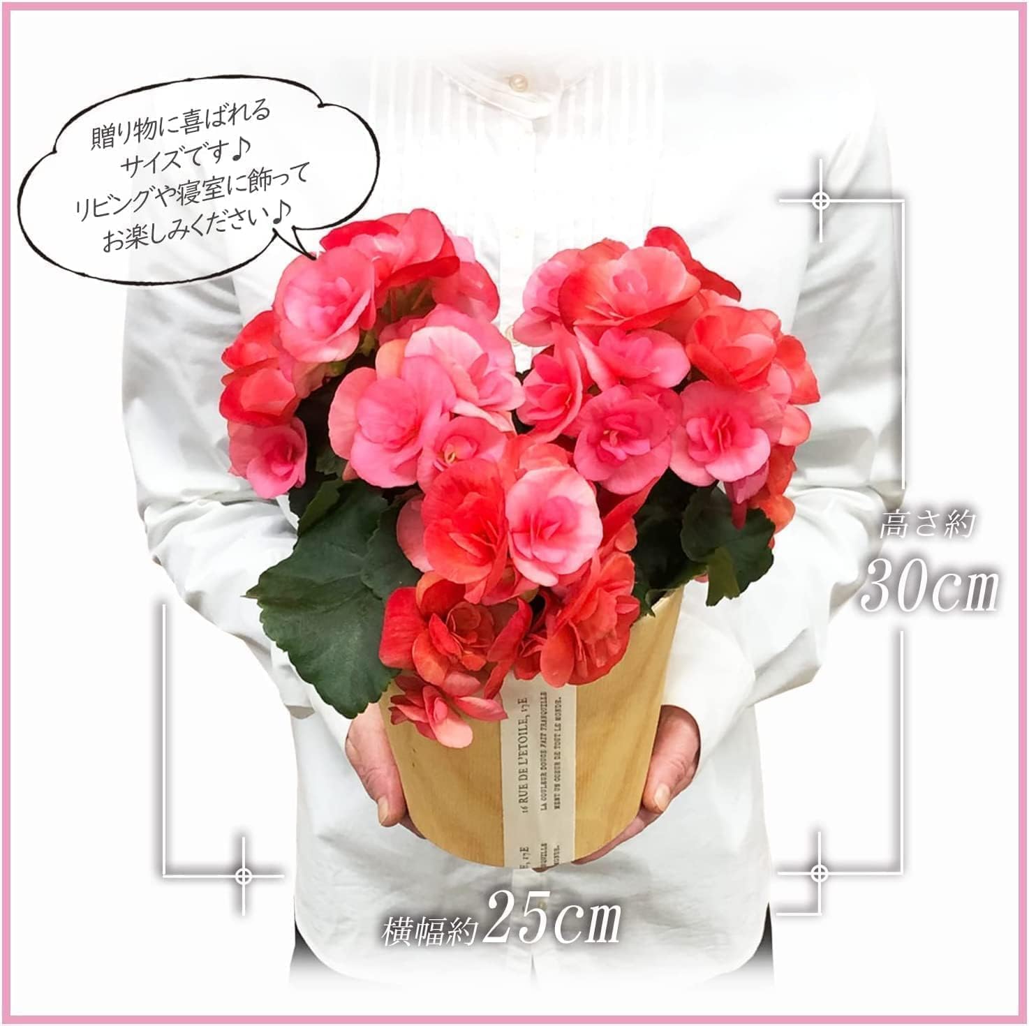 �꡼������ �� ���ե� ������ �ץ쥼��� ȭ���� ȭ�� ���ۻ� �꡼�������٥��˥�