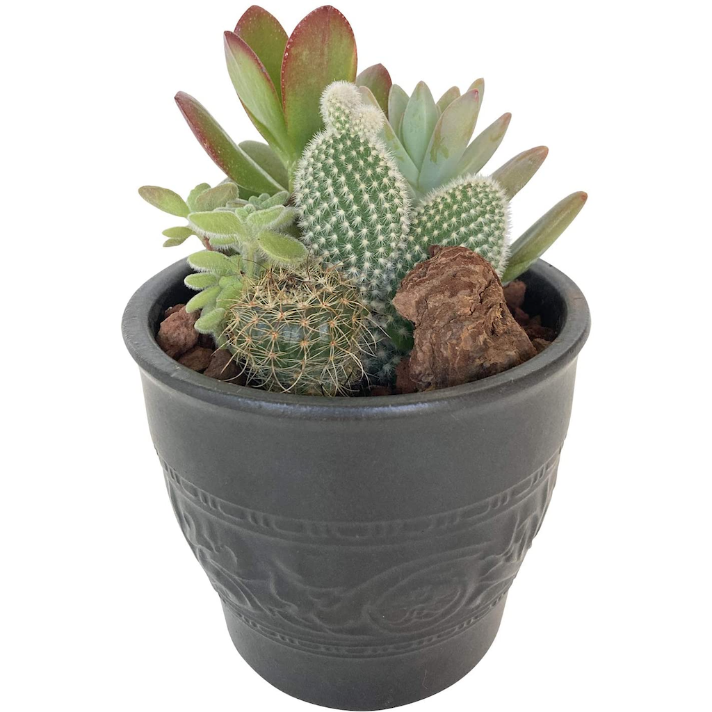 青緑色の陶器製多肉植物*2 青緑色の陶器製多肉植物