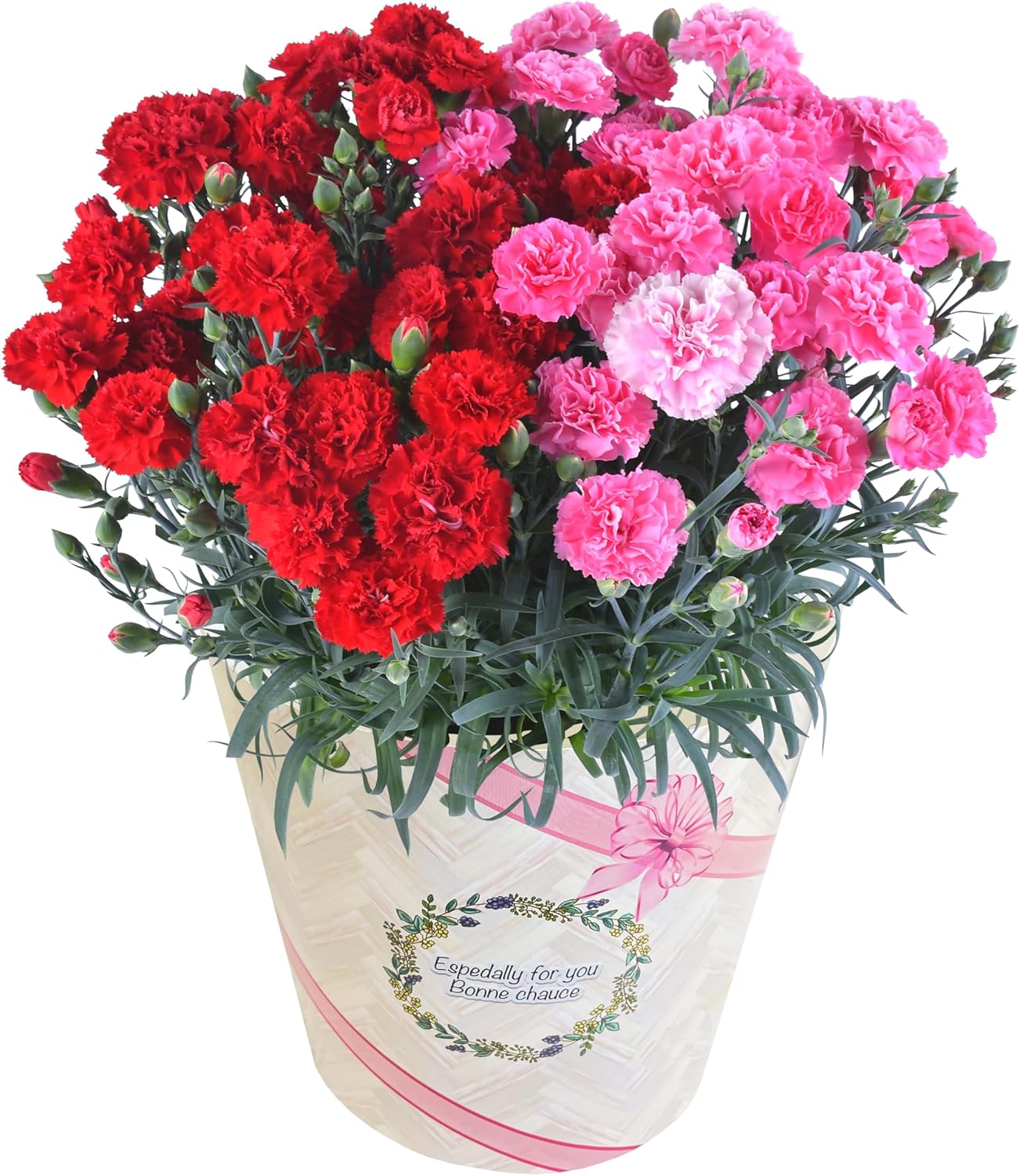 ����� �� ȭ���� �����͡������ �ץ쥼��� ��ȭ ��������ե� ������Υץ쥼���