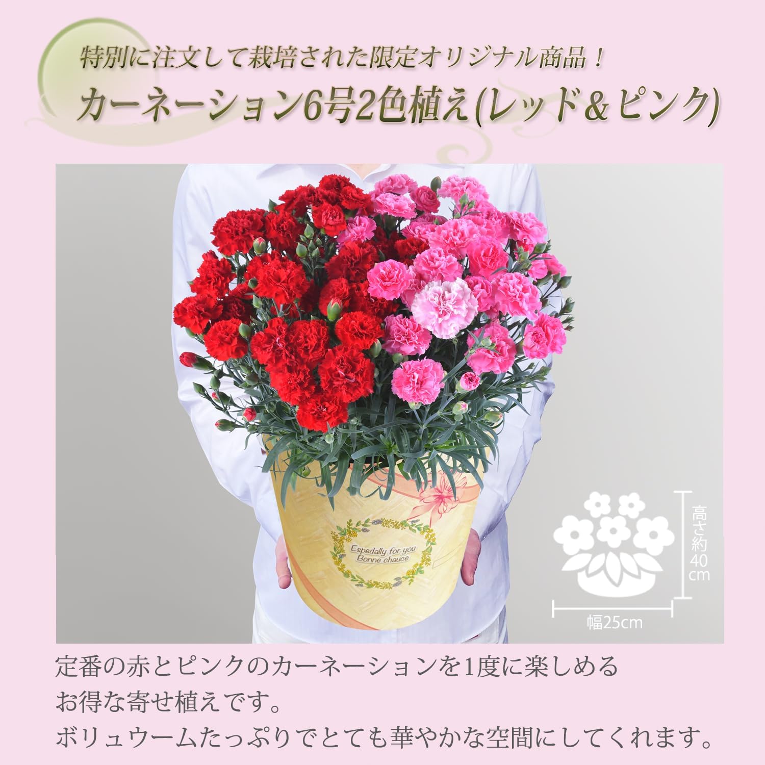 ����� �� ȭ���� �����͡������ �ץ쥼��� ��ȭ ��������ե� ������Υץ쥼���