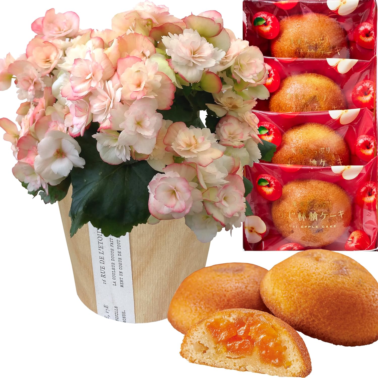 �꡼������ �� ���ե� ������ �ץ쥼��� ȭ���� ȭ�� ���ۻ� �꡼�������٥��˥�