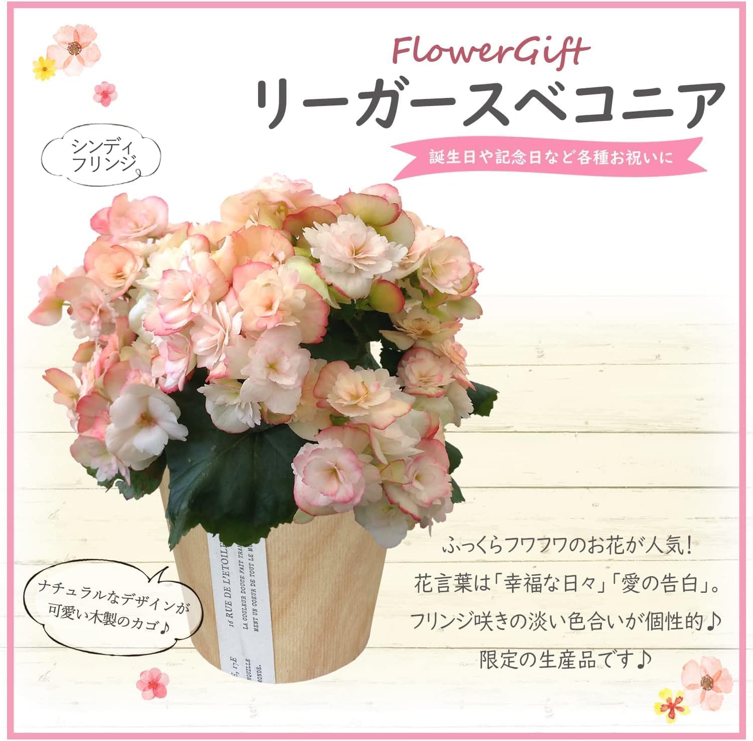 �꡼������ �� ���ե� ������ �ץ쥼��� ȭ���� ȭ�� ���ۻ� �꡼�������٥��˥�