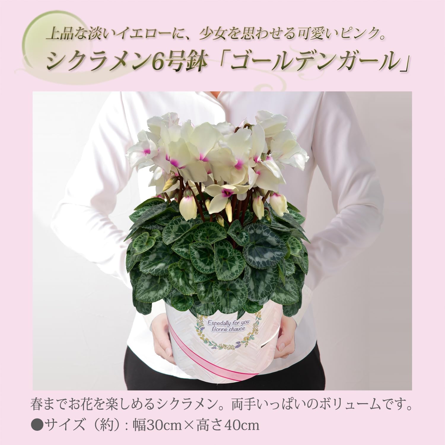 �������� ���ե� �ץ쥼��� �� ȭ���� ȭ�� ������ 6��ȭ �� ������ǥ󥬡���