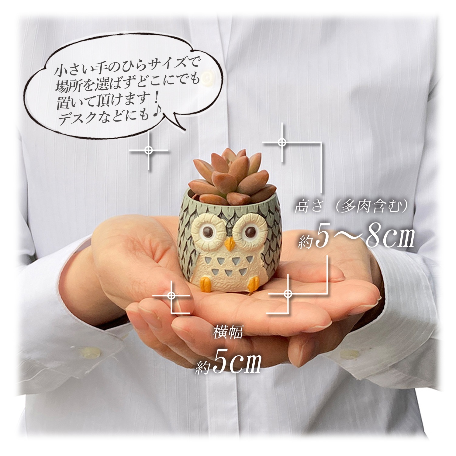 陶器製 香合 多色の花と動物デザイン