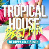 �ڥȥ��ԥ���HOUSE�٥���!!��DJ YOPPY a.k.a. S1zzLe / Tropical House Best Mix [YOPCD-04]
