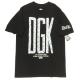 DGKۡTġDGKڥ꡼T[dgkt_01]