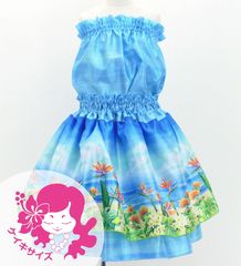 ������ ����󥿥� ���åȥ��å� �ϥ磻����ե����� Jp161-6