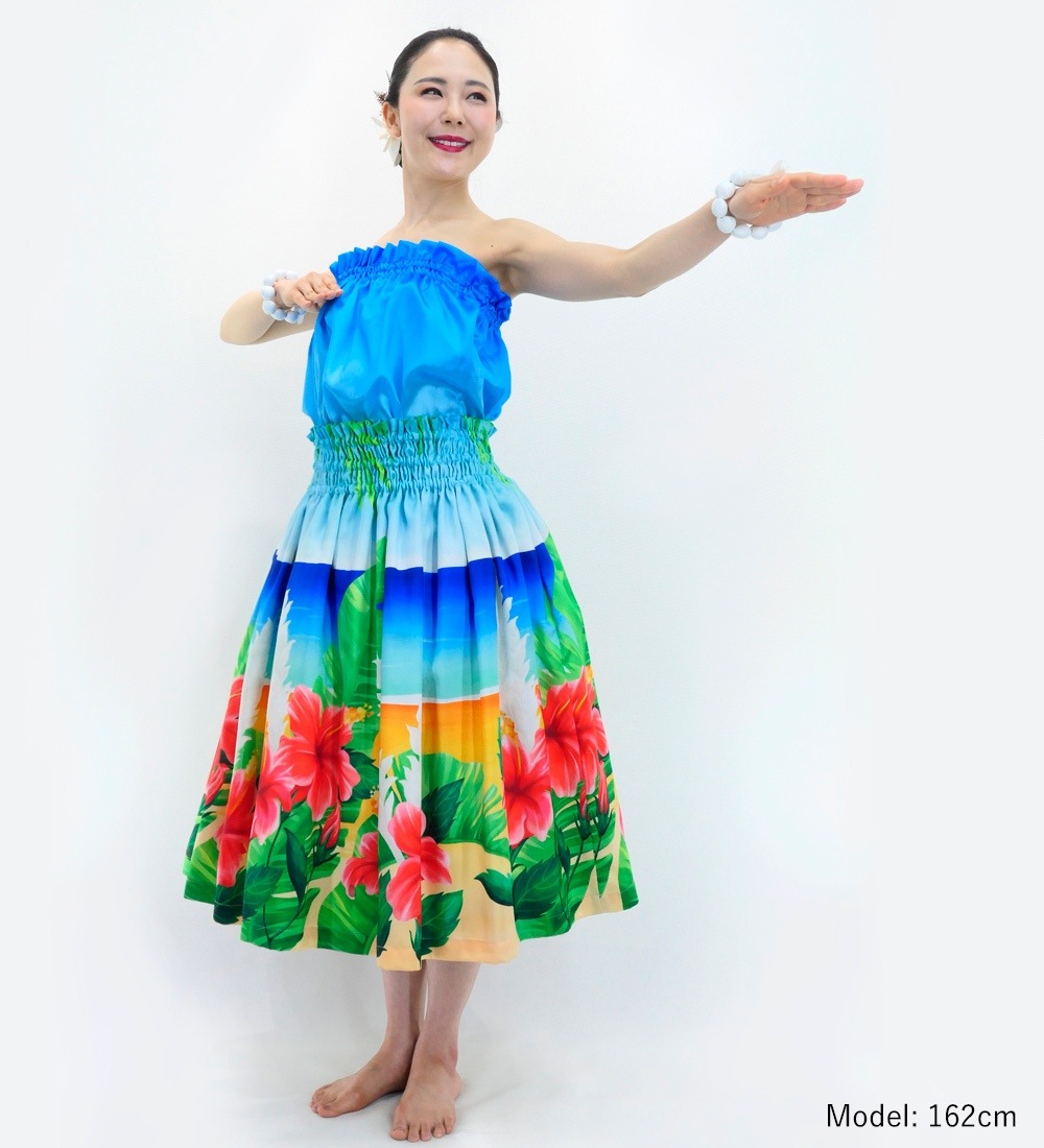 �ե���� �ѥ���������&���塼�֥ȥå� ���å� �ϥ��ӥ����� J3099-2