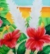 �ե���� �ѥ���������&���塼�֥ȥå� ���å� �ϥ��ӥ����� J3099-2