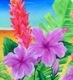 �ե���� �ѥ���������&���塼�֥ȥå� ���å� �ϥ��ӥ����� J3099-4