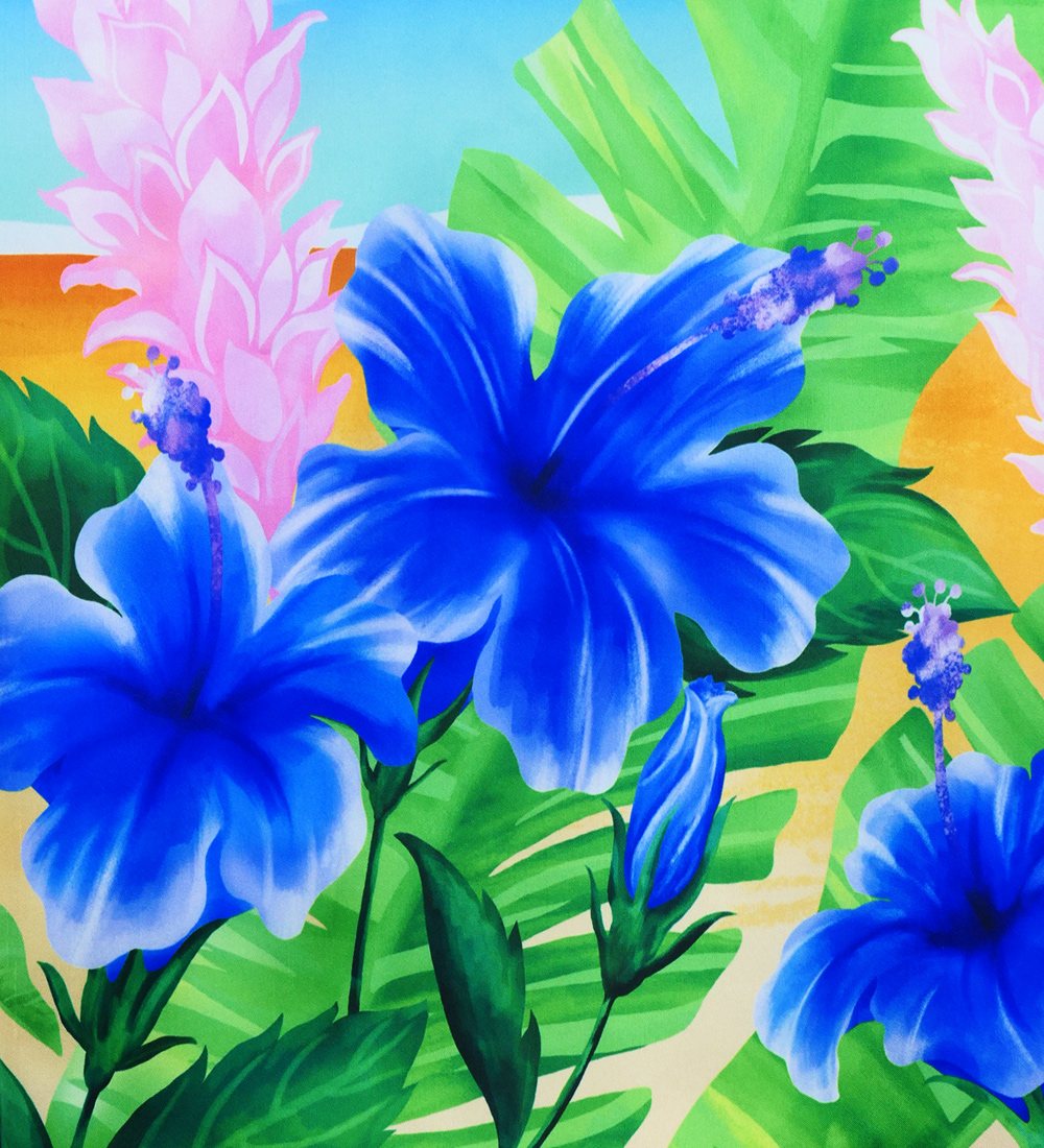 �ե���� �ѥ���������&���塼�֥ȥå� ���å� �ϥ��ӥ����� J3099-5