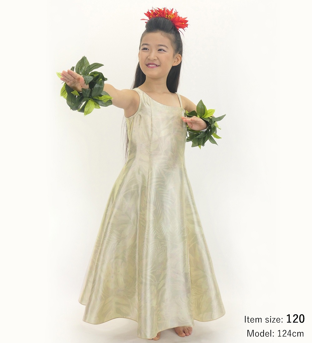 ������ �ե�ɥ쥹 ����󥿥� ��󥷥����� �ϥ磻����꡼�� �١����� Jp221be