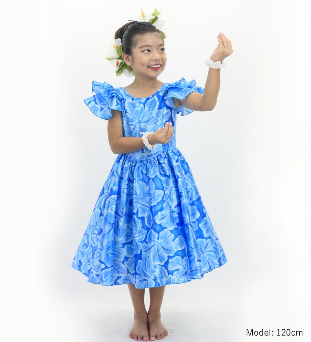 ������ �ե�ɥ쥹 3�ʥե�륹�꡼�� �ߥǥ��� �ϥ��ӥ����� �֥롼�ߥ饤�ȥ֥롼 Jp128bllbl