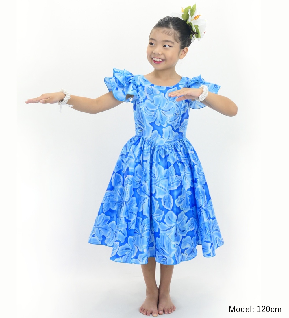 ������ �ե�ɥ쥹 3�ʥե�륹�꡼�� �ߥǥ��� �ϥ��ӥ����� �֥롼�ߥ饤�ȥ֥롼 Jp128bllbl