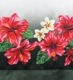 ե ٤ȥåץ֥ѥ ϥӥ ֥å J3157bk