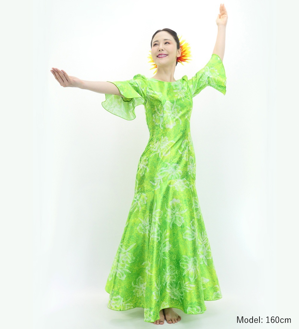 �ڥ��󥰾�� �ե�ɥ쥹 ����󥿥� �ե��µ �������å� ���꡼�� J3153gr