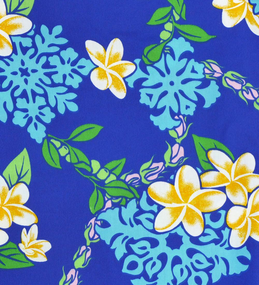 �ե���� ������ ���åȥ��åס��֥롼��p68bl