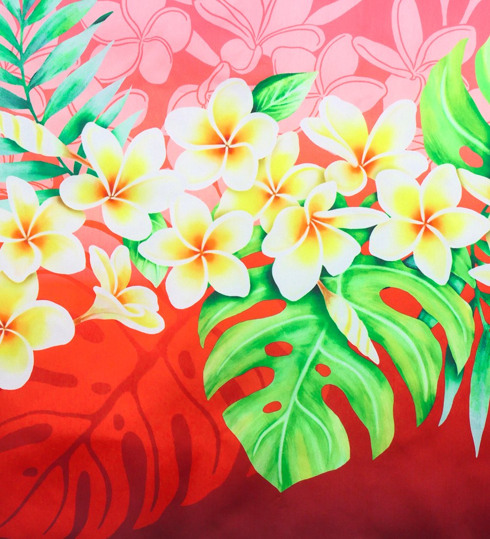 �ե���� ����󥿥� �ѥ��������� ���󥰥� �ץ��ꥢ�쥤 ��åɡߥ֥饦�� J3147rdbr