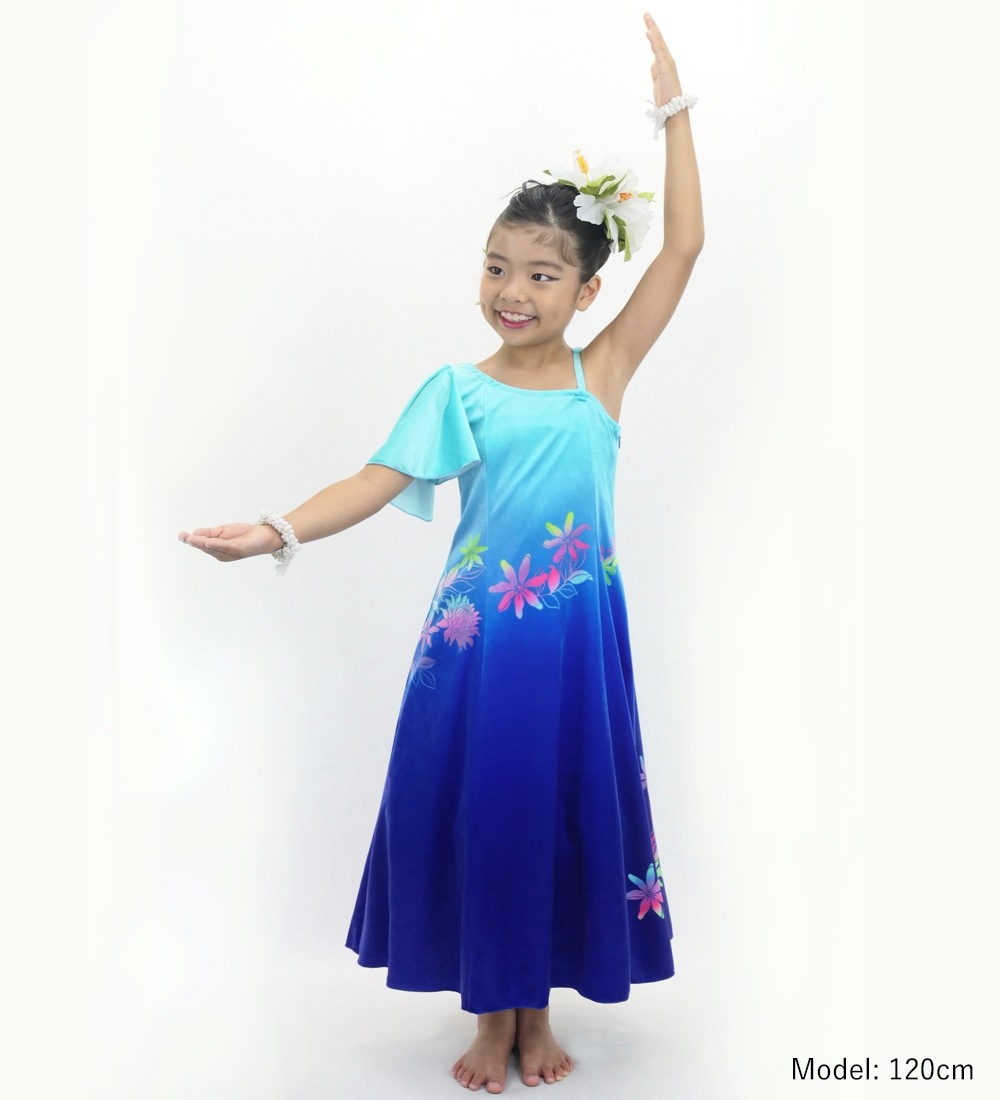 ������ �ե�ɥ쥹 ��󥷥����� �ե�륹�꡼�� �ץ��ƥ����ƥ����� �饤�ȥ֥롼�ߥ֥롼 Jp129lblbl