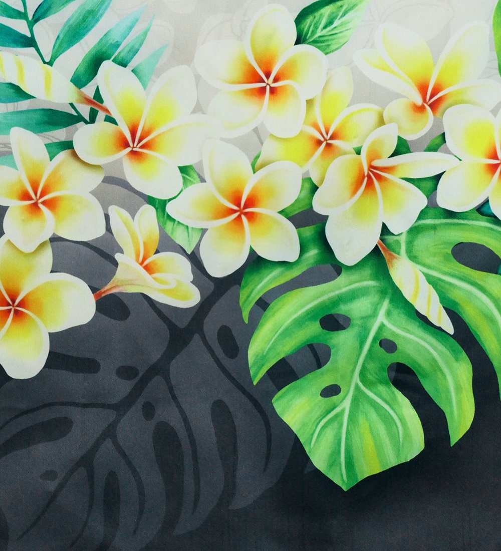 �ե���� ����󥿥� �ѥ��������� ���󥰥� �ץ��ꥢ�쥤 �ۥ磻�ȡߥ֥�å�  J3147whbk