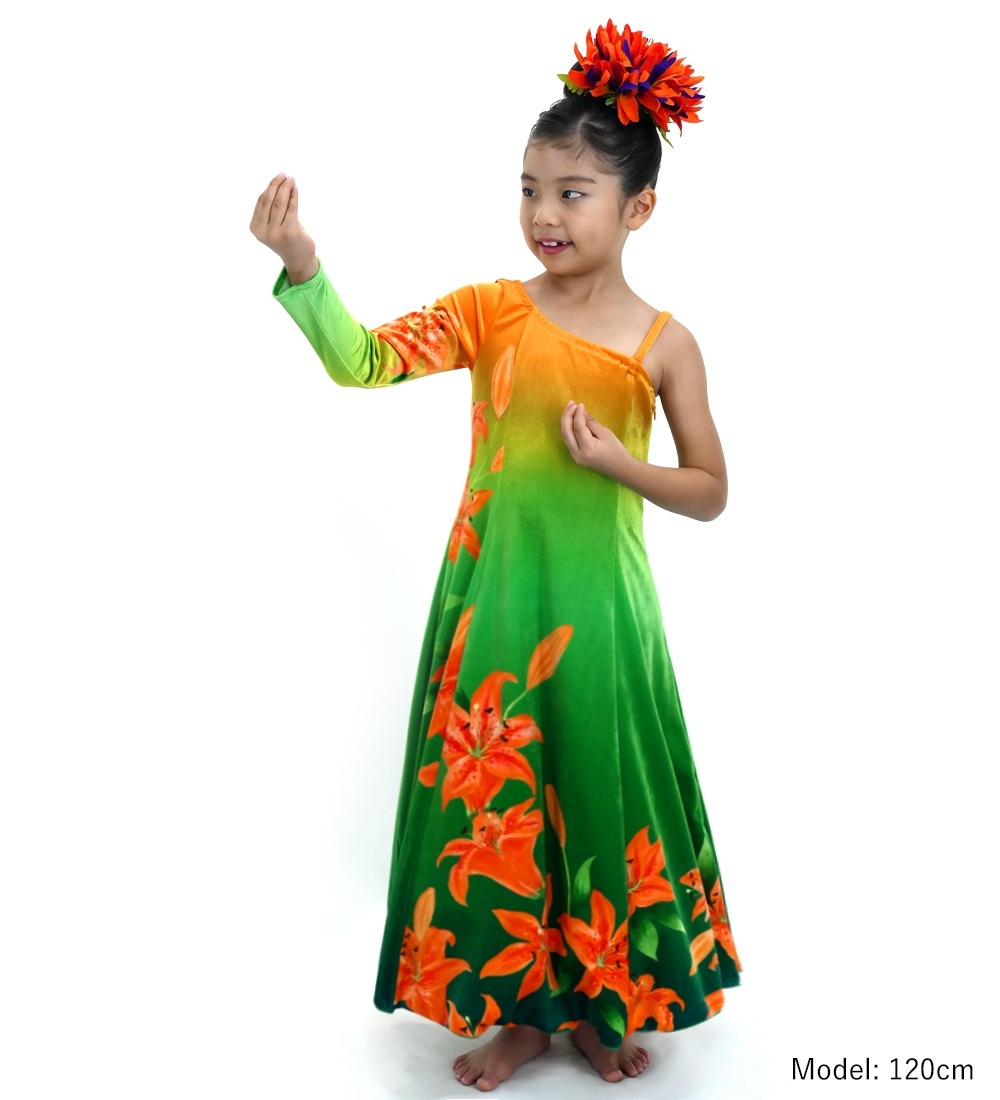  եɥ쥹 󥷥 󥰥꡼ ꡼ 󥸡ߥ꡼ Jp105orgr