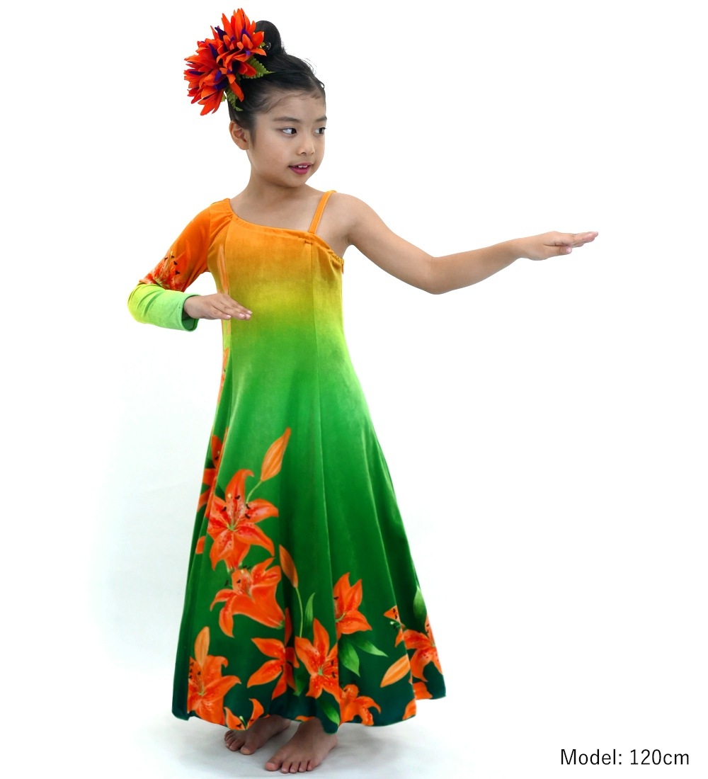  եɥ쥹 󥷥 󥰥꡼ ꡼ 󥸡ߥ꡼ Jp105orgr