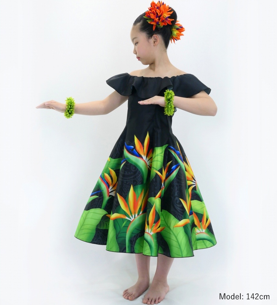 ������ �ե�ɥ쥹 ���ե������� �ߥǥ��� ���ȥ����� �֥�å� Jp85bk