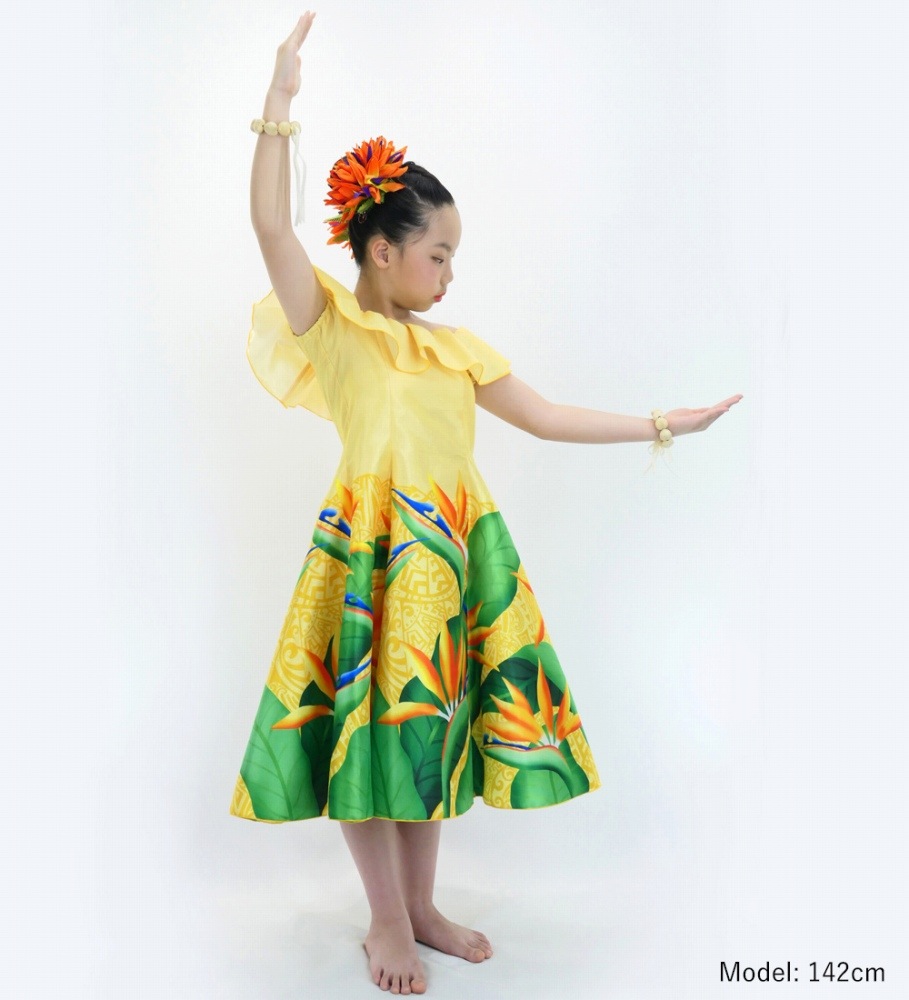 ������ �ե�ɥ쥹 ���ե������� �ߥǥ��� ���ȥ����� �������� Jp85ye