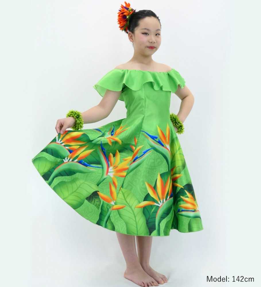 ������ �ե�ɥ쥹 ���ե������� �ߥǥ��� ���ȥ����� �����������꡼�� Jp85yegr