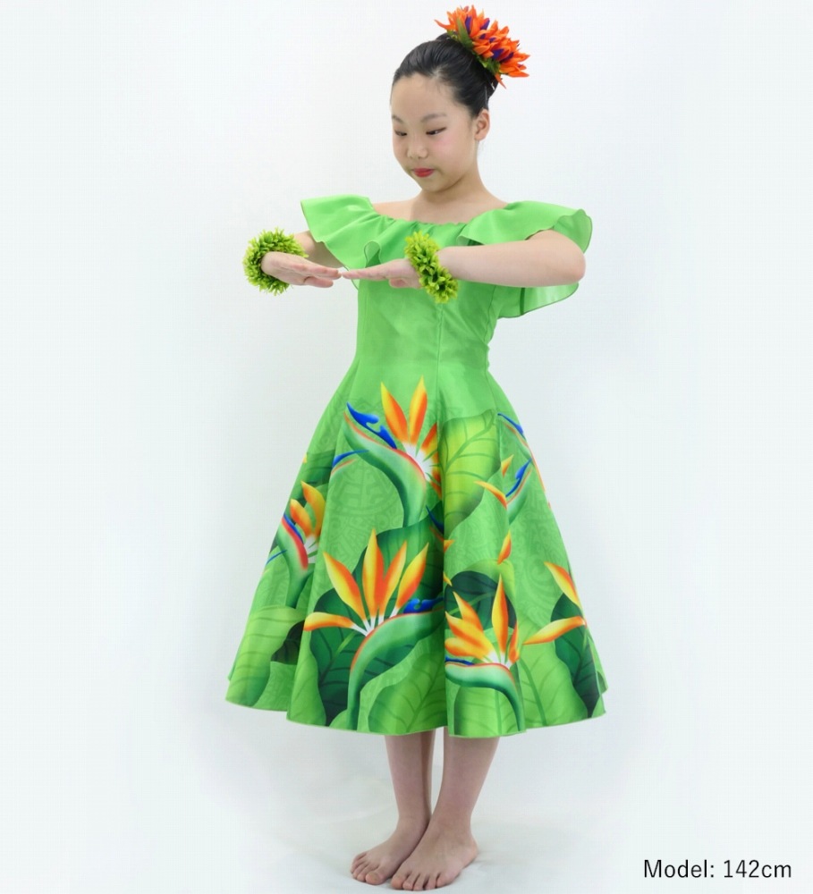 ������ �ե�ɥ쥹 ���ե������� �ߥǥ��� ���ȥ����� �����������꡼�� Jp85yegr