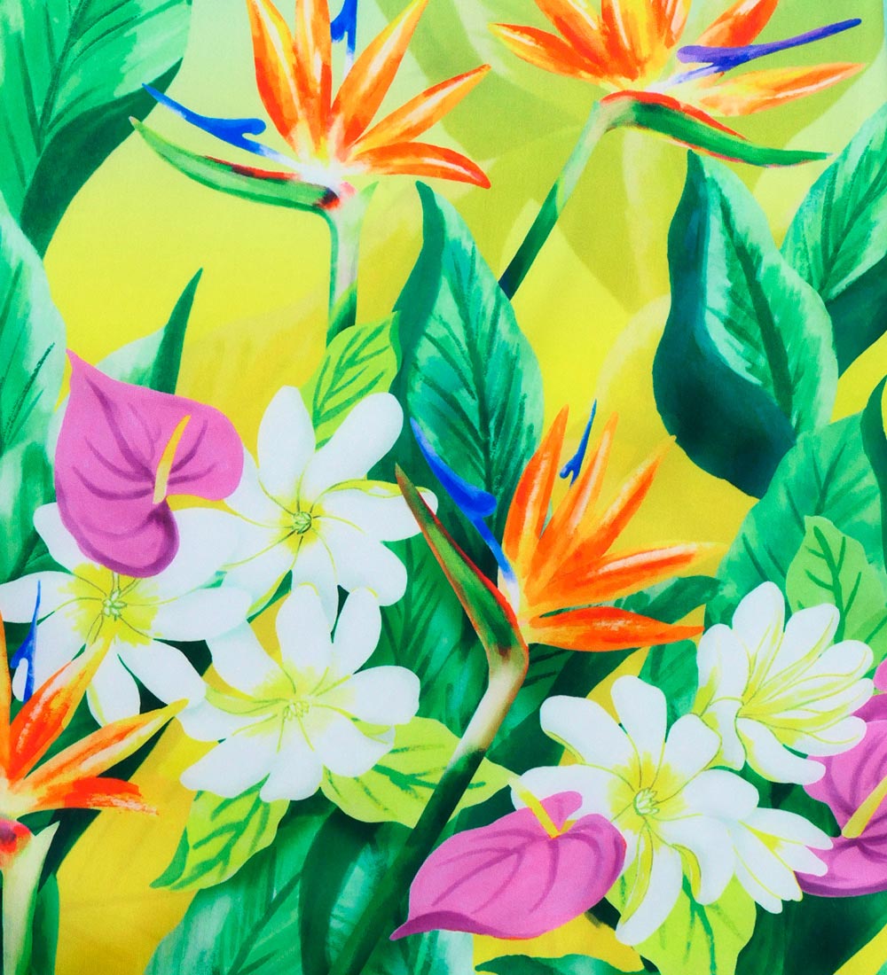 �ե���� ����󥿥� �ѥ��������� ���󥰥� �ϥ磻����ե����꡼�� J3255-7