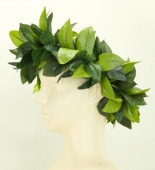 ���ò��ۥե���� �ޥ��� �ϥ� 1871