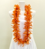 ϥ磻쥤 󥰥쥤 ѥꥣ  1995o