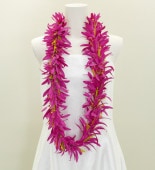 ϥ磻쥤 󥰥쥤 ѥꥣ ԥ 1995pi