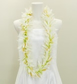 ϥ磻쥤 󥰥쥤 ѥꥣ ۥ磻 1995w