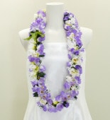 ϥ磻쥤 ԥ ѡץ 1996p