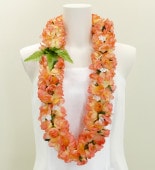 ϥ磻쥤 ԥ ԡ 1996pe