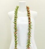 ϥ磻쥤 󥰥쥤 Хå ޥå 2256mr