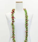 ϥ磻쥤 󥰥쥤 Хå ԥ 2256pi