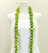 ϥ磻쥤 󥰥쥤 Хå  2256y