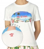 T����� �������ɥۥ� �ץ��� �ۥ磻�� 489w