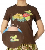 T����� �ϥ��ӥ����� �ץ��� �֥饦�� 527br