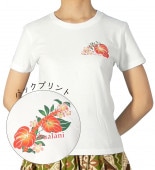 T����� ���󥹥ꥦ�� �ץ��� �ۥ磻�� 537w