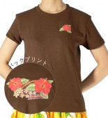 T����� �ϥ��ӥ����� �ץ��� �֥饦�� 557br