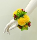 ե  ե ֥쥹 ٥륯  1 2327y