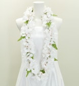 ϥ磻쥤 ץꥢ ۥ磻 111w