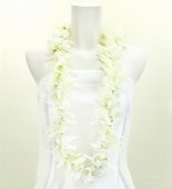 ϥ磻쥤 å Х˥饯꡼ 2739cr